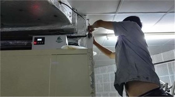 香薰案例